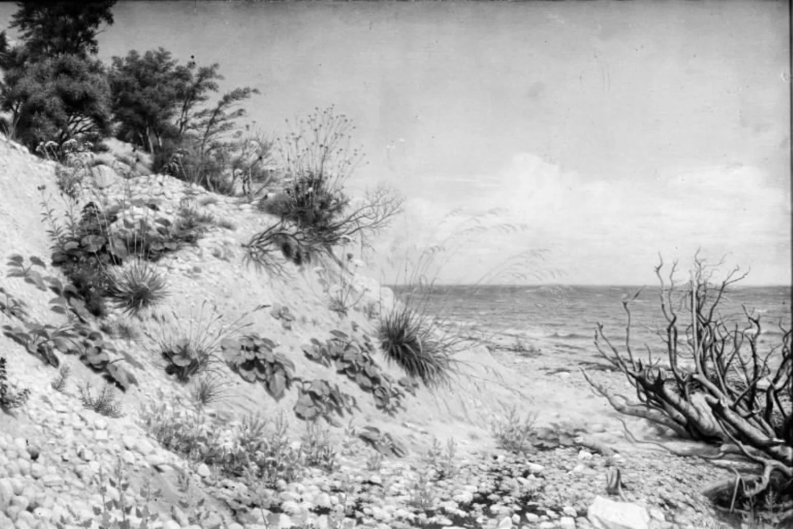 Parti ved Møens strand