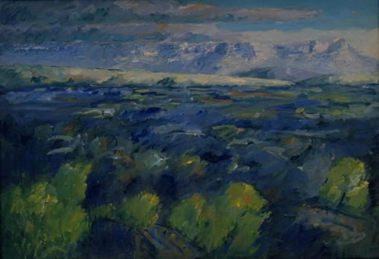 Skardsheidi