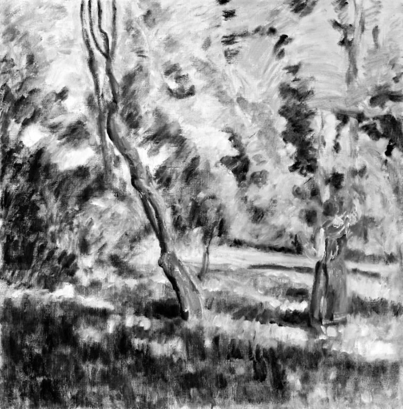 A Sunlit Garden