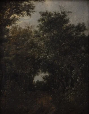 Road in an Oak Forrest