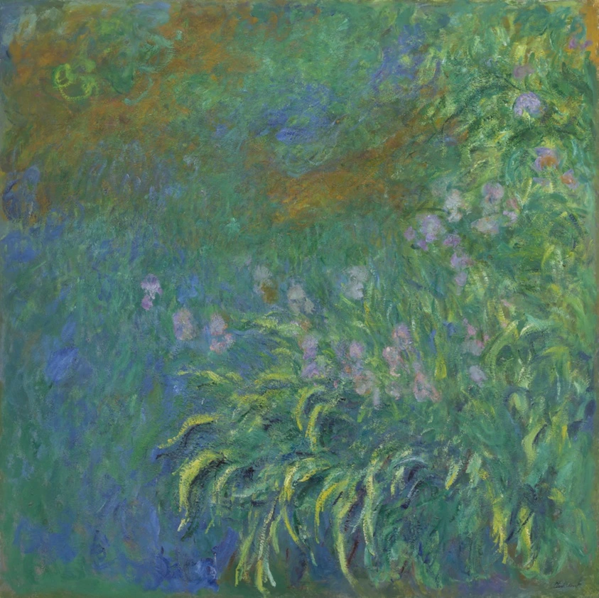 Irises