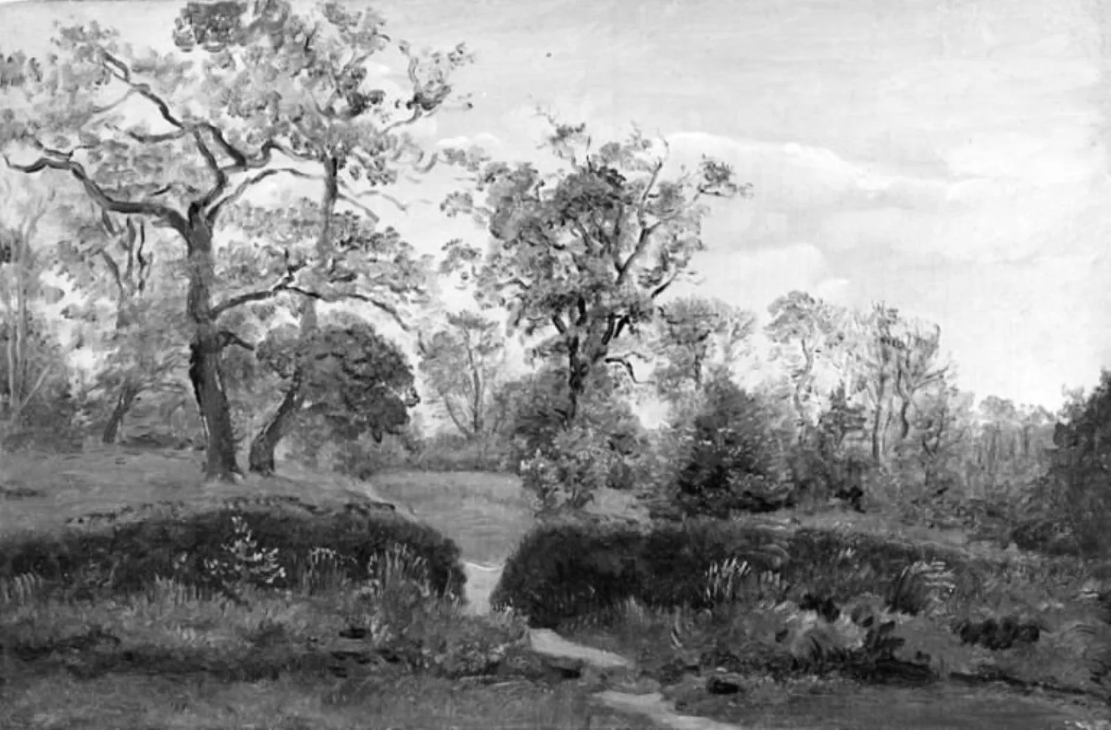 The Fringe of a Wood