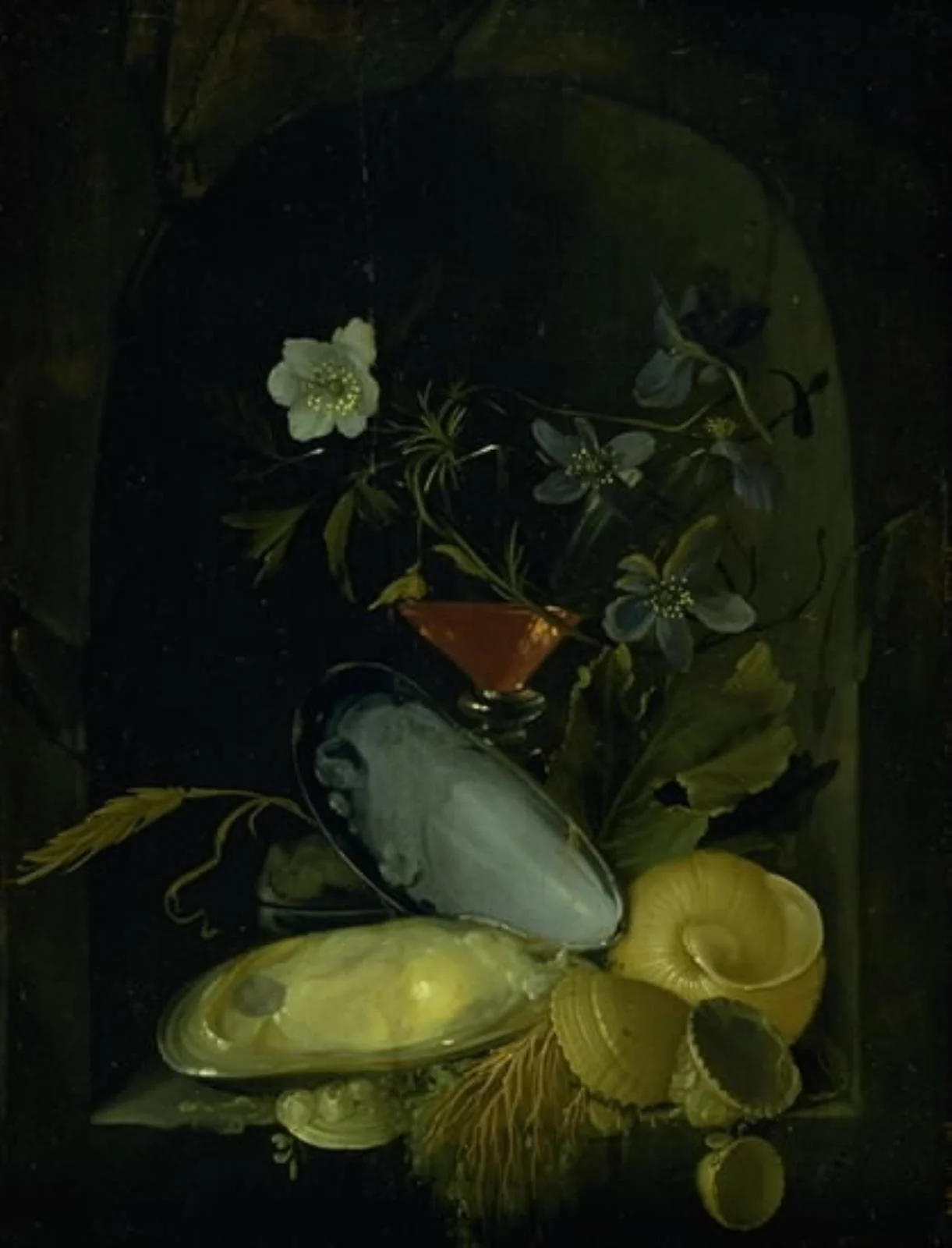 Still Life with Cockleshells and Blue Anemones