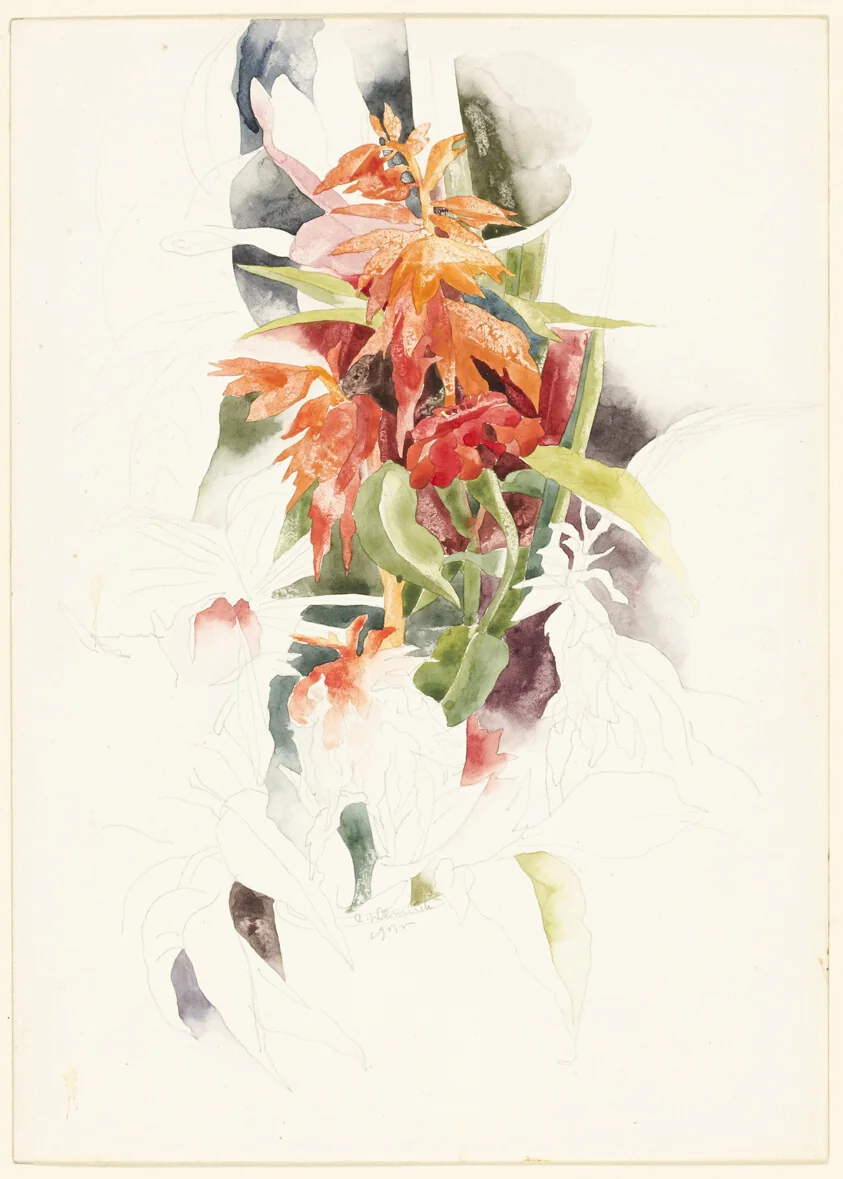 Salvia and Zinnia