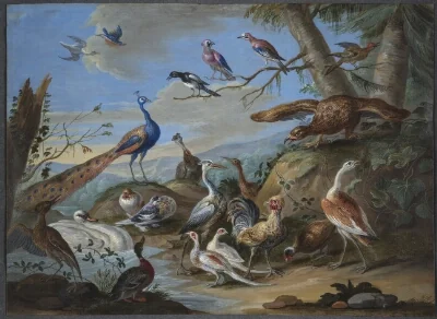 A Hilly Landscape with a Peacock, an Eagle and other Birds