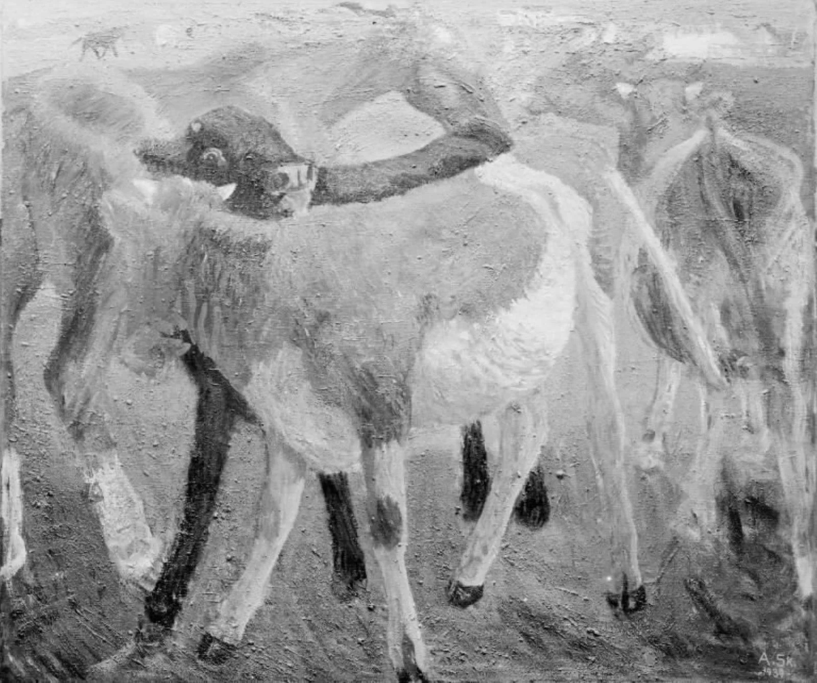 Cattle at Holmen
