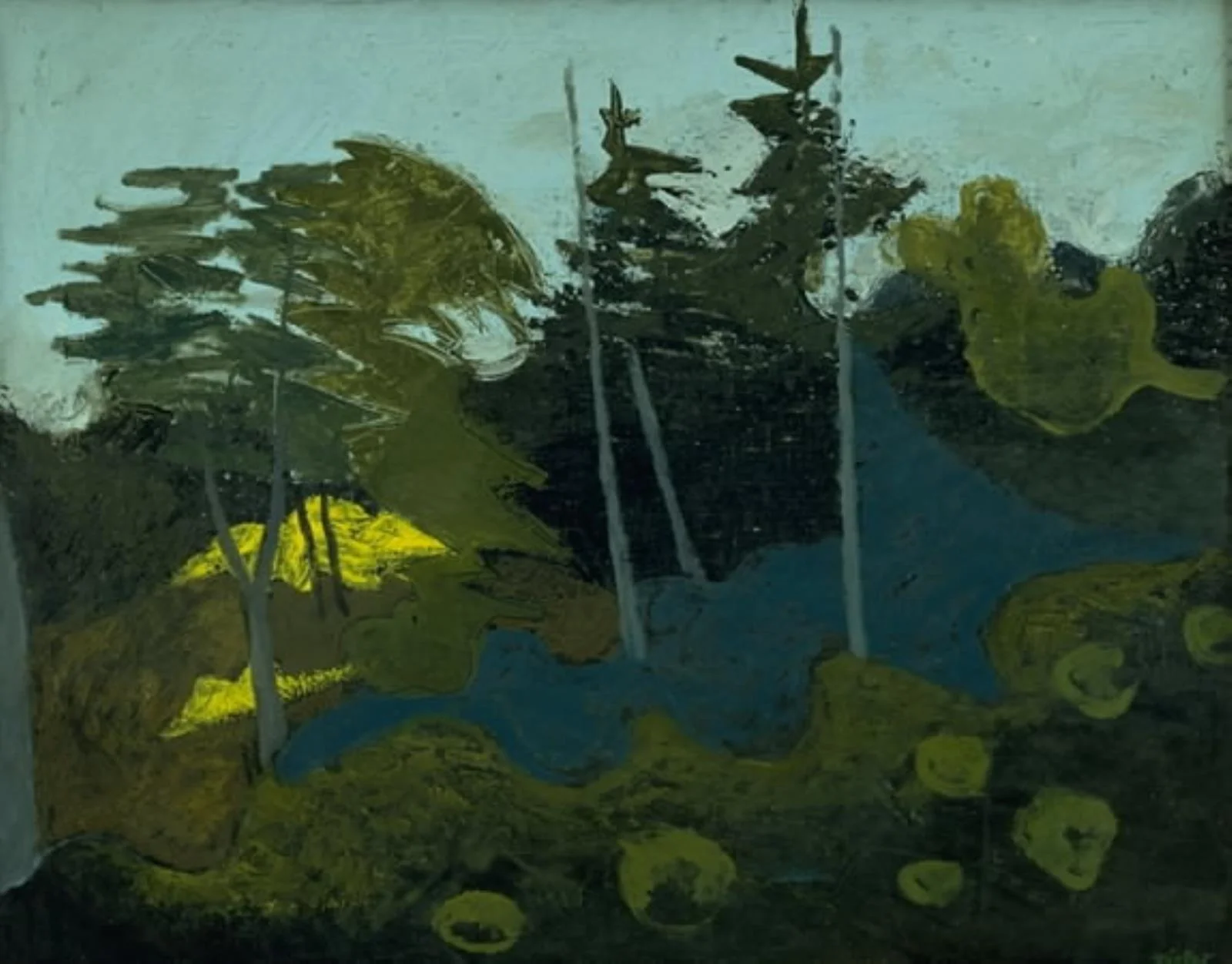 Forest