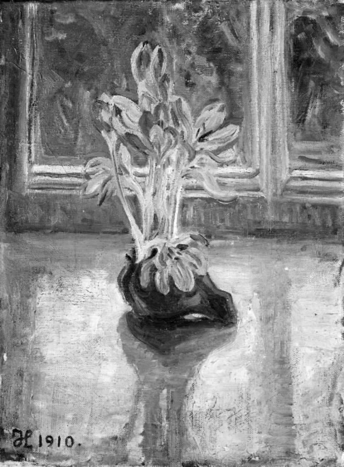 Autumn Crocus in a Window