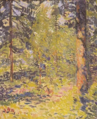 A Sunlit Spruce Forest in Småland, Sweden