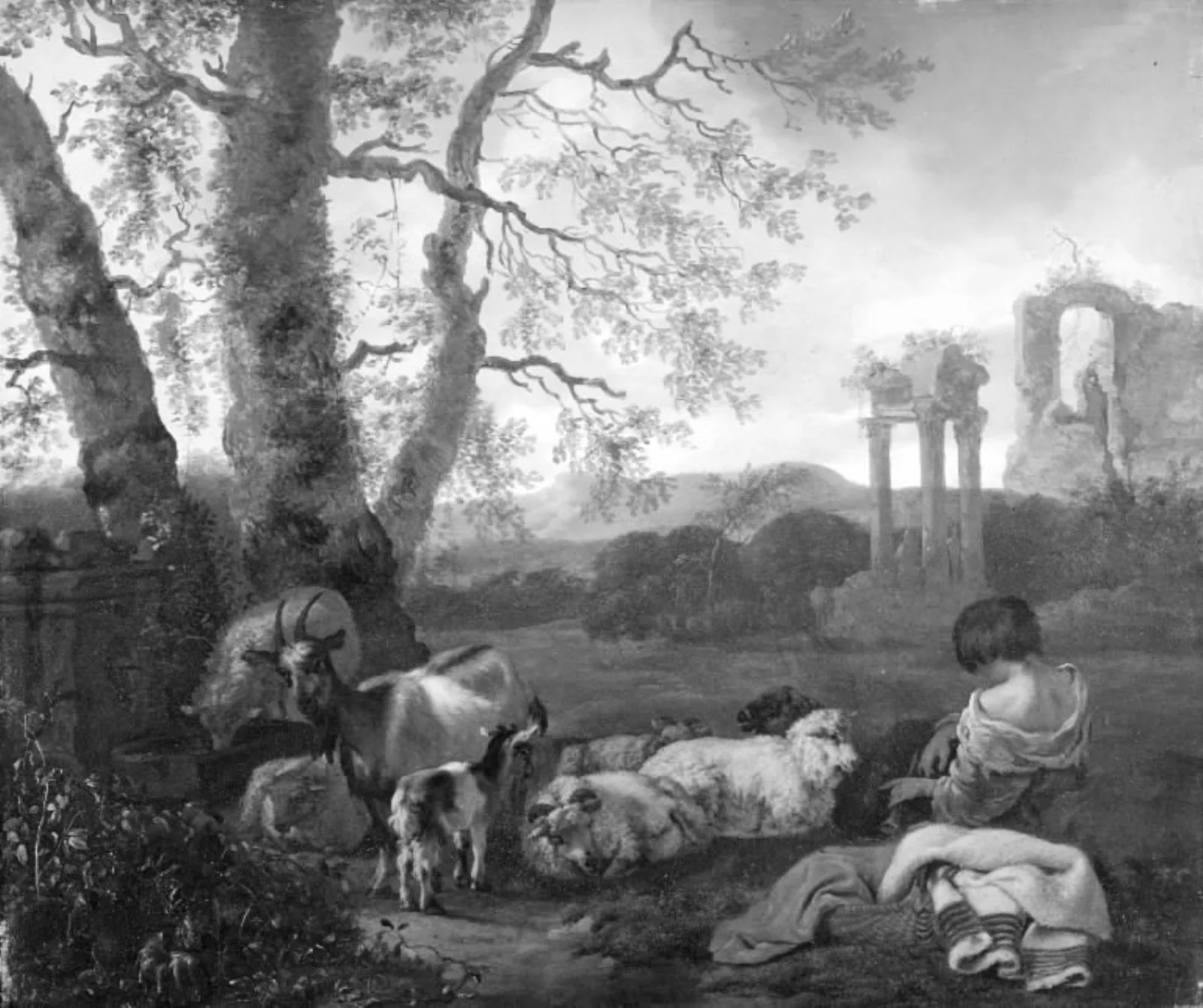 Sheep and Goats