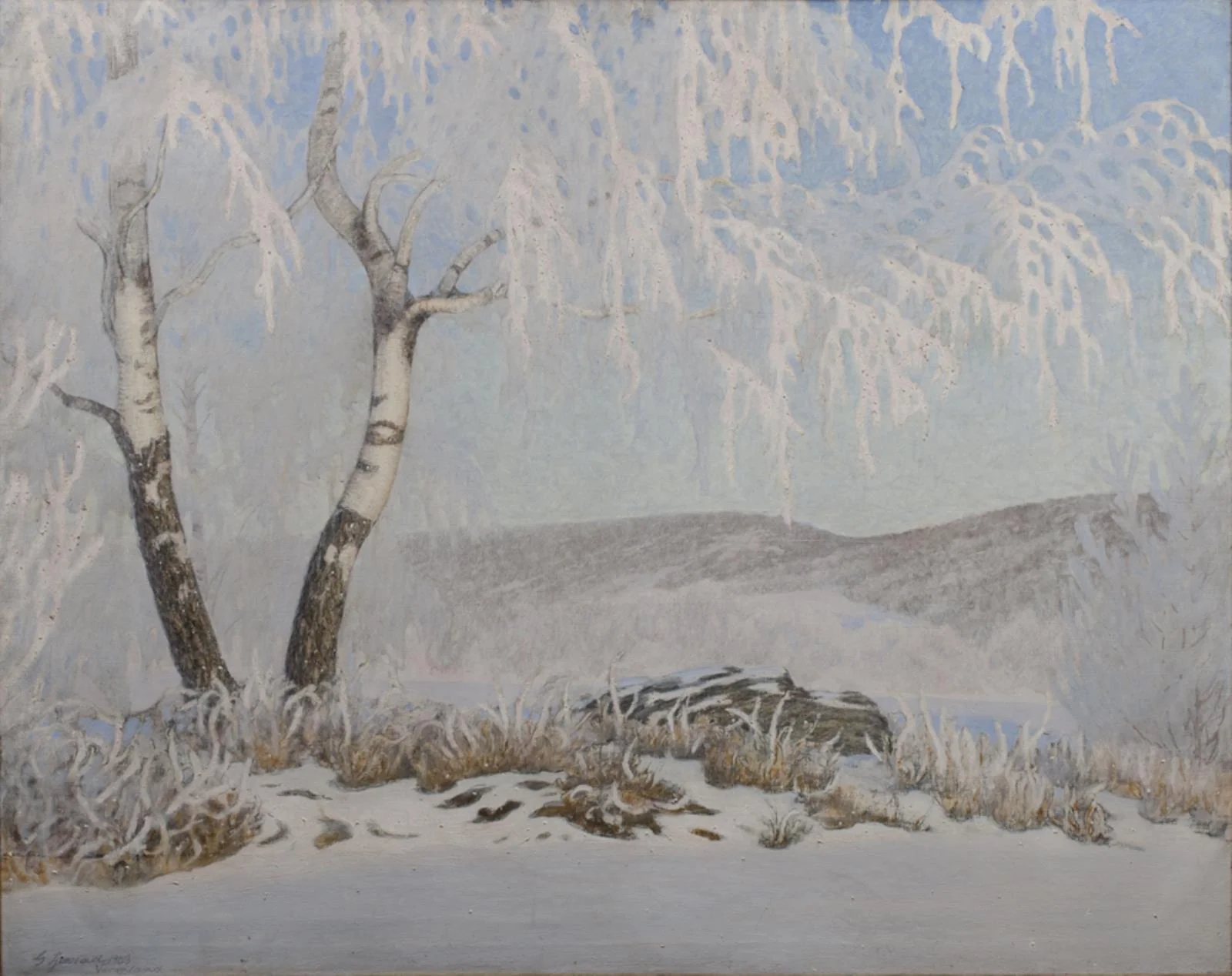 White Frost in Sunshine
