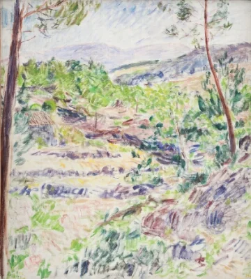 A Forest Clearing, Portugal