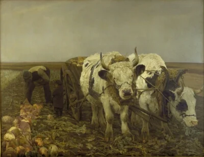 Roeoptagning