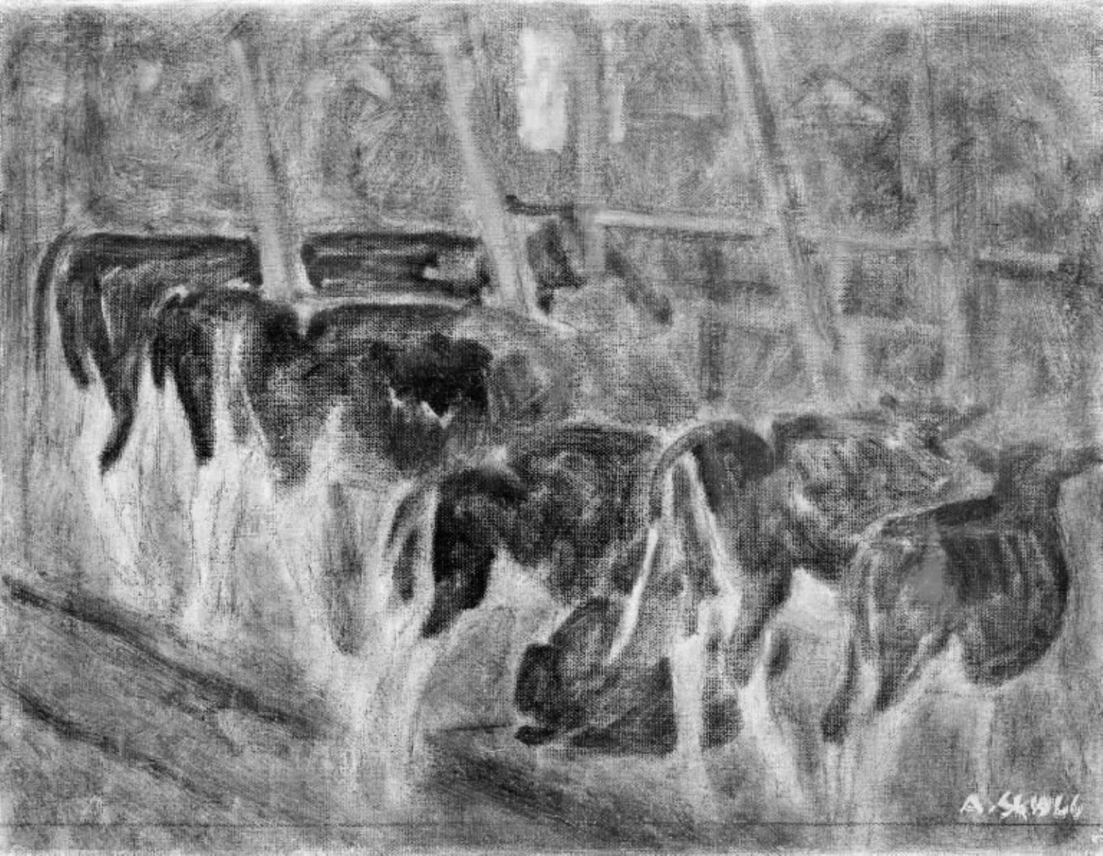 Calves in the Stable