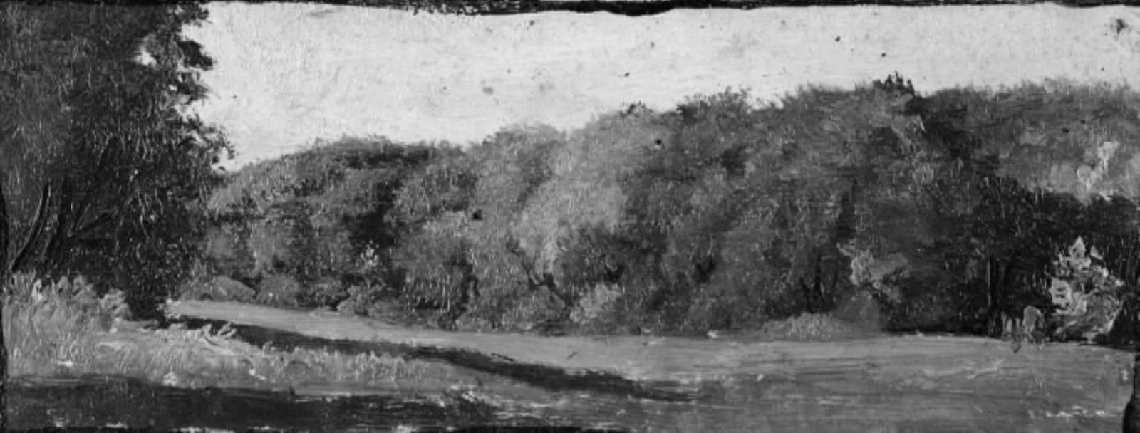 The Fringe of a Wood