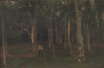 Skov ved solnedgang