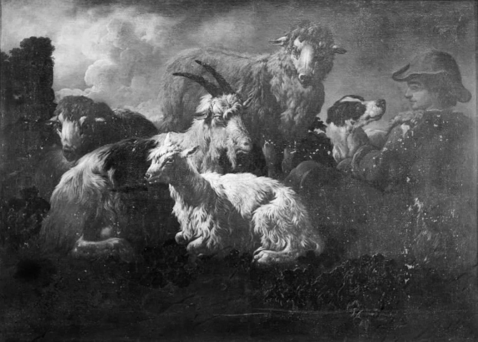 Cattle Piece