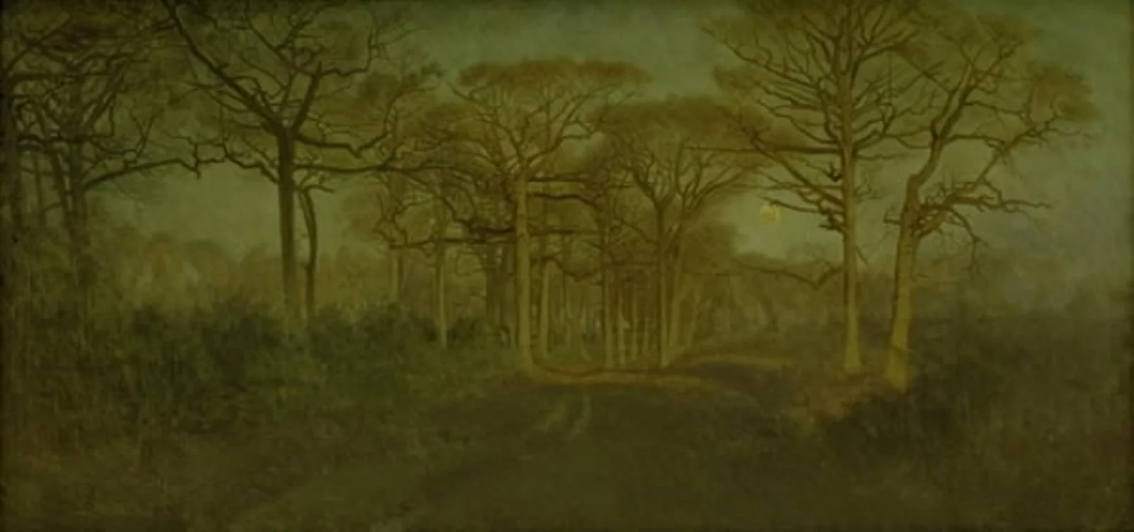 The Forest of Fontainebleau