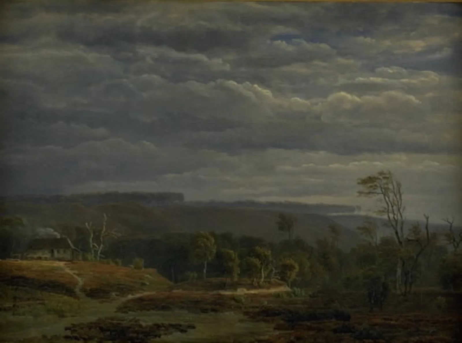A View of a Wooded Landscape in Jutland