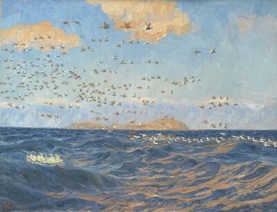 A Flock of Eiders near Vester Reef off the Island of Sprogø