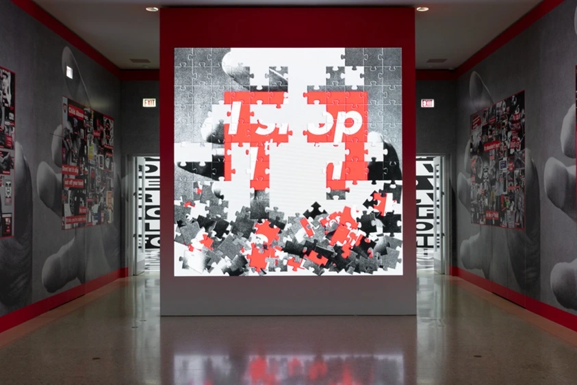 Untitled (I shop therefore I am)