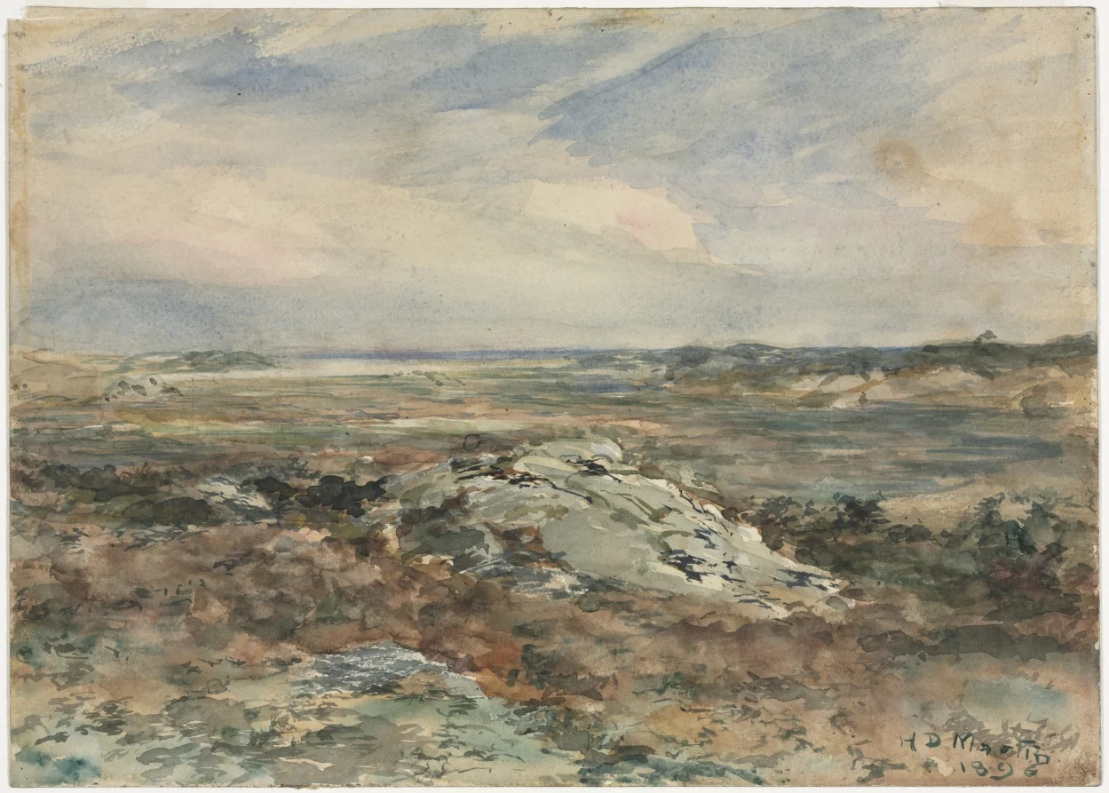Landscape