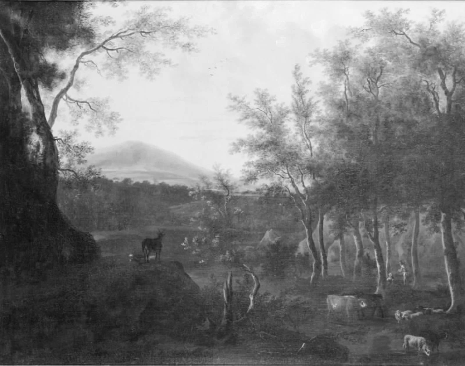 Wooded Landscape