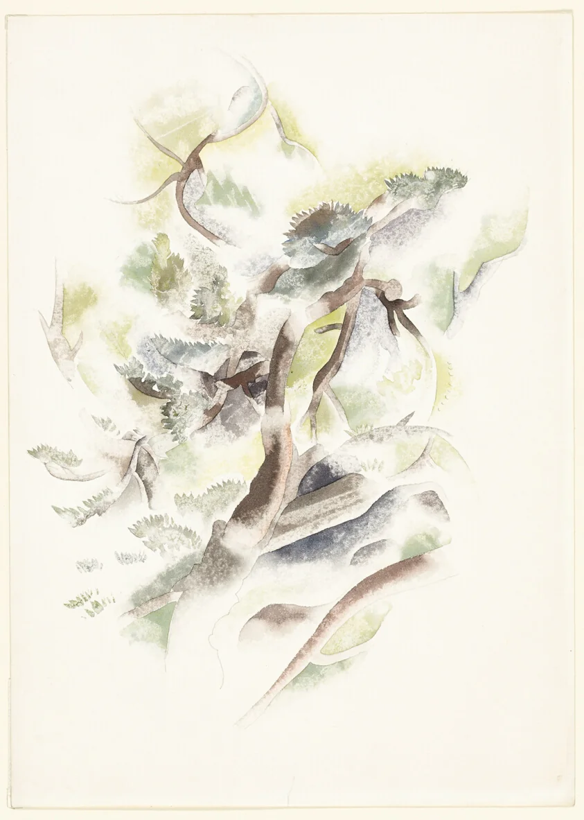 Tree Forms No. 3 (recto); Hilly Landscape with Clouds (verso)