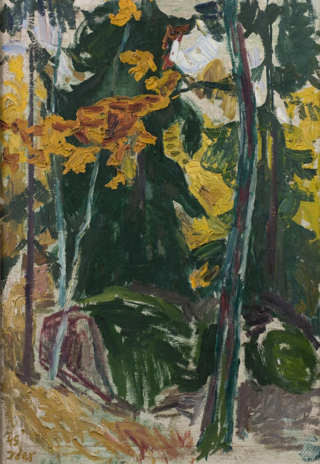 Autumn Yellow and Fir Green