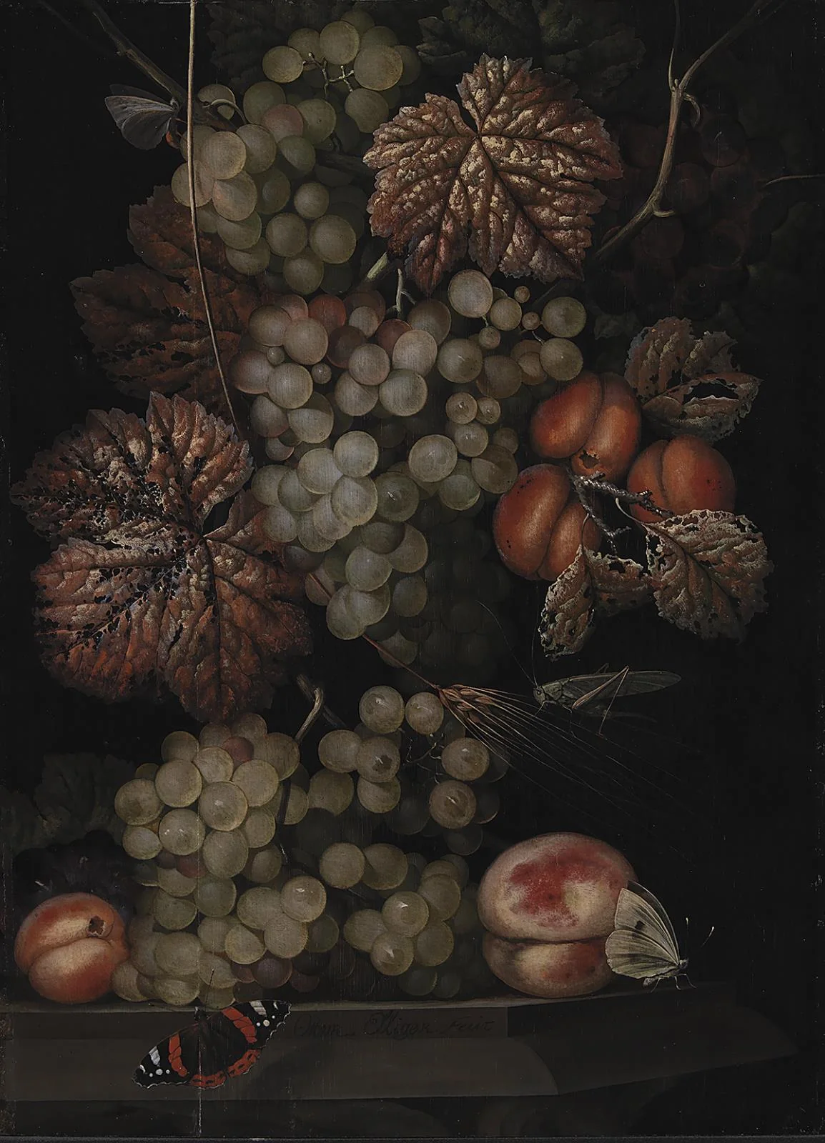Still Life