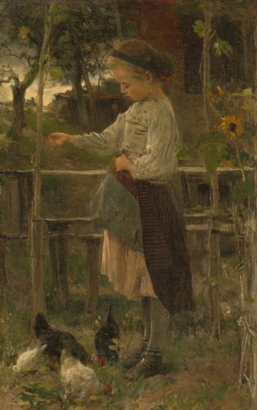Feeding Chickens
