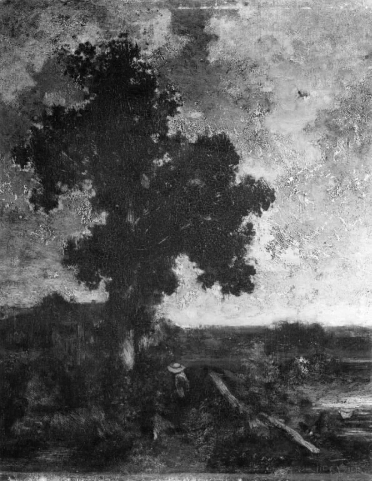 Big Tree