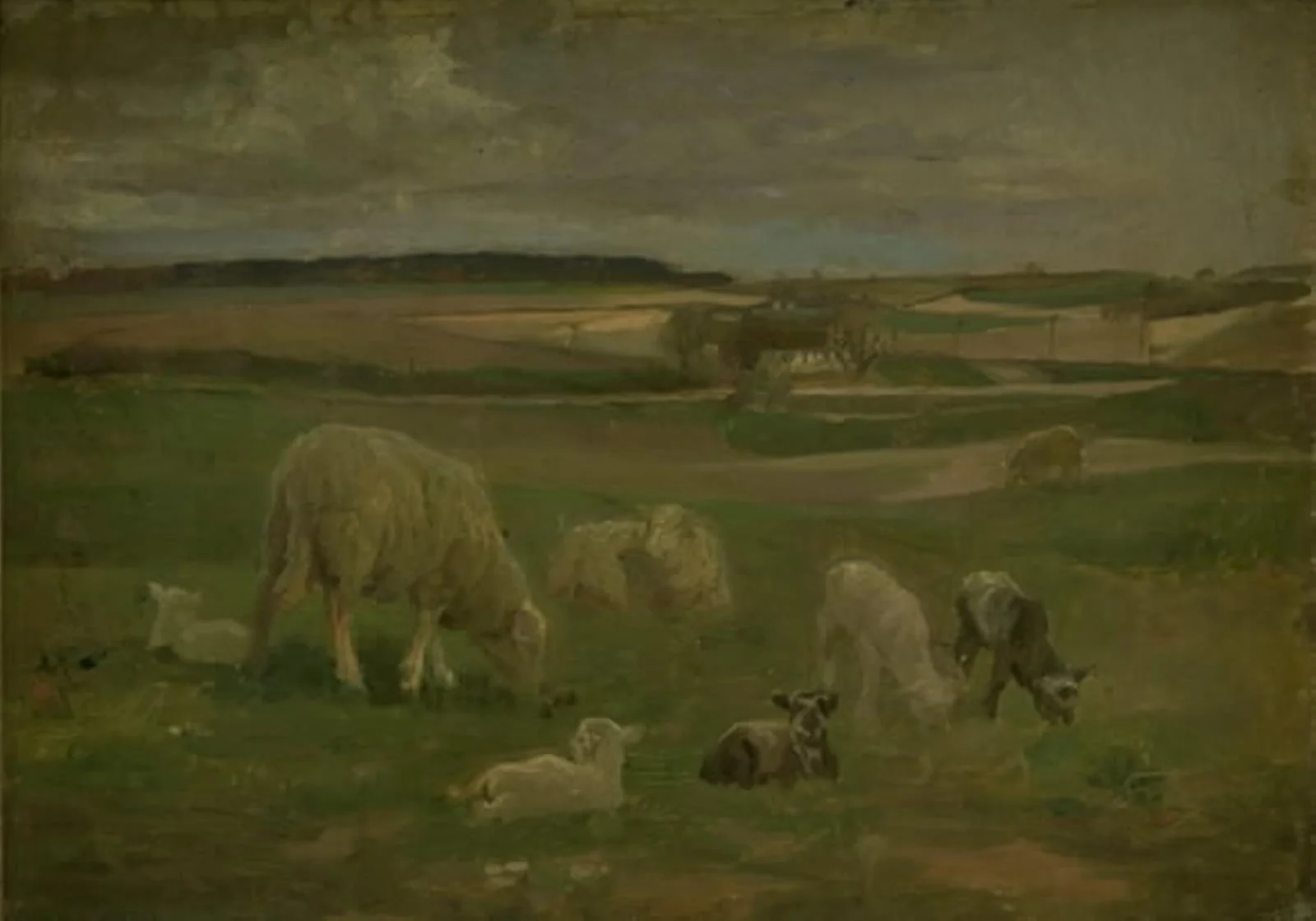 Landscape with Sheep