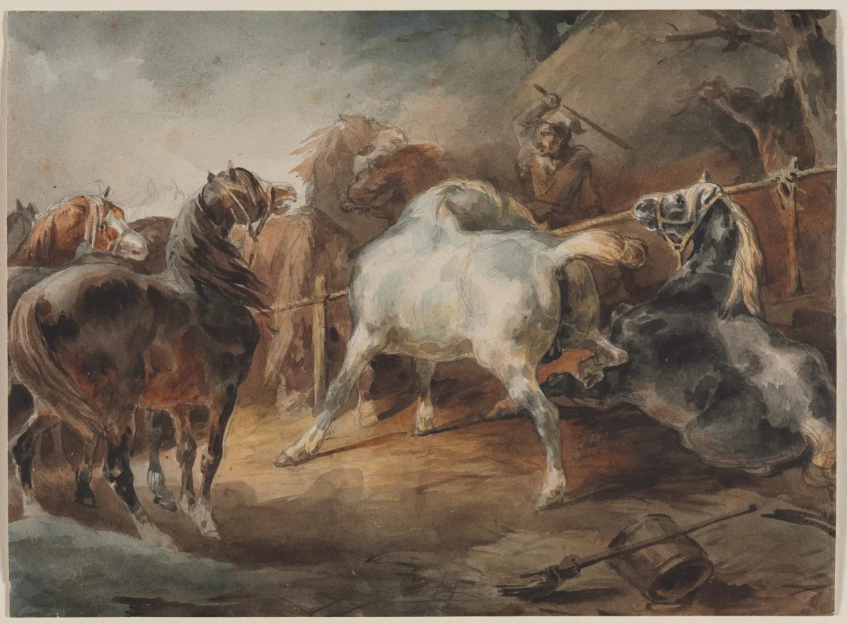 Fighting Horses