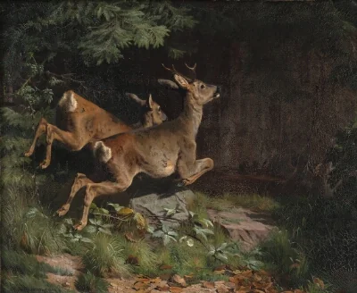 Rådyr