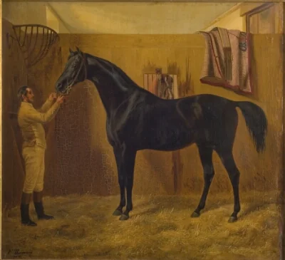 Black Comet