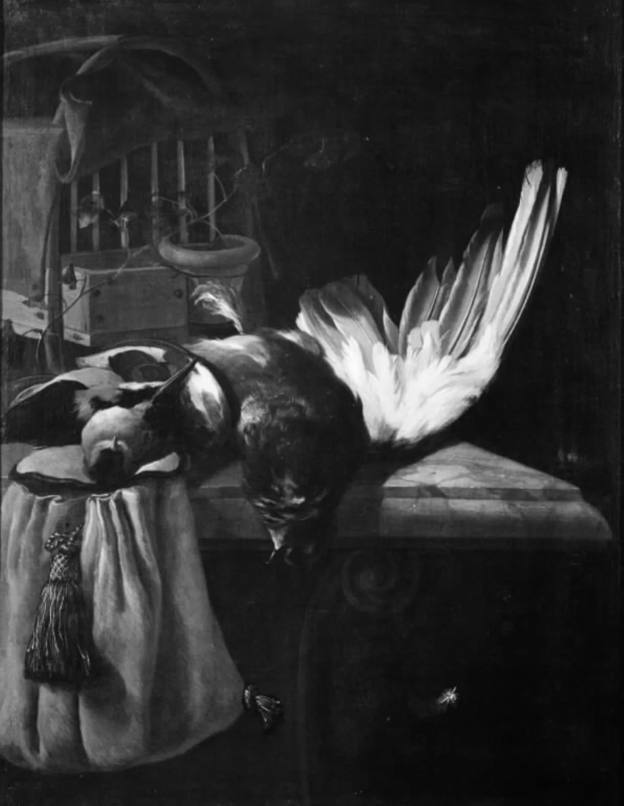 Dead Birds on a Marble Table