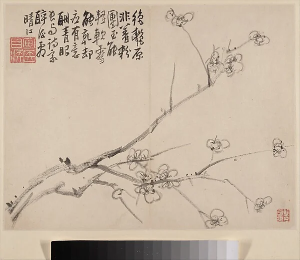 清   李方膺   墨梅圖   冊|Album of Blossoming Plum