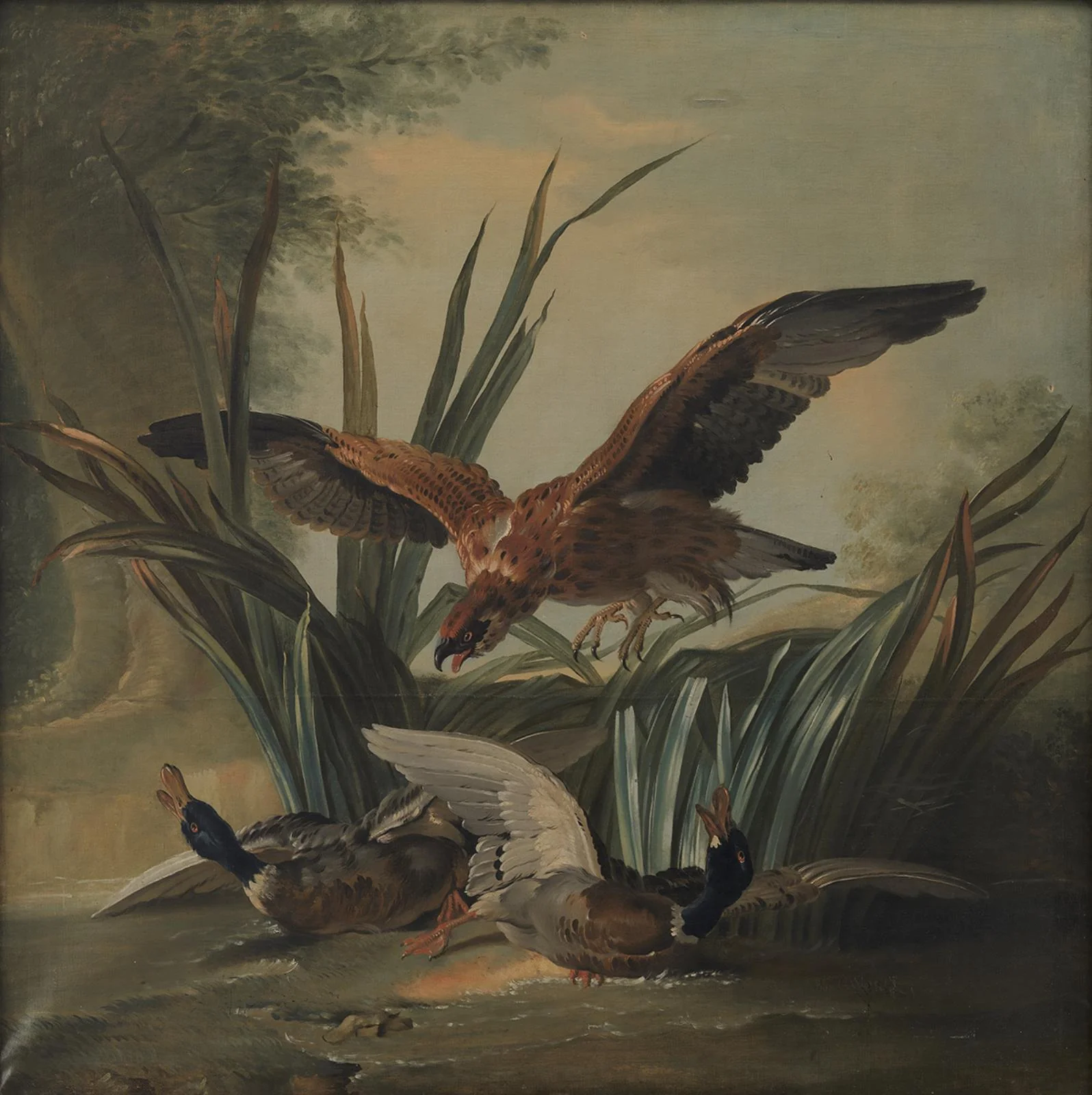 A Hawk Puncing on a Pair of Ducks