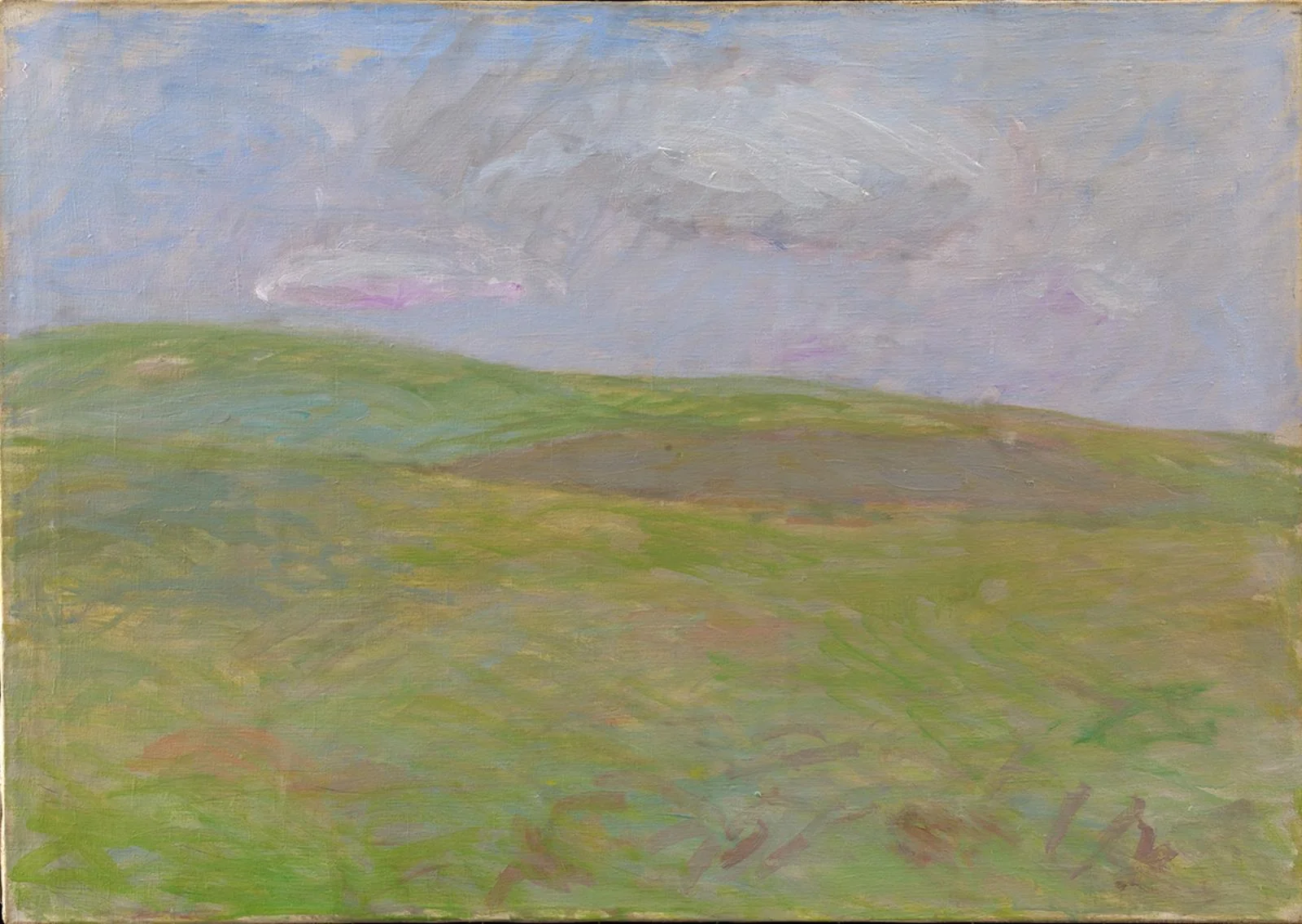 Summer Landscape