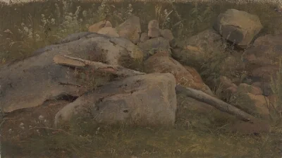 Study of a Stone Heap