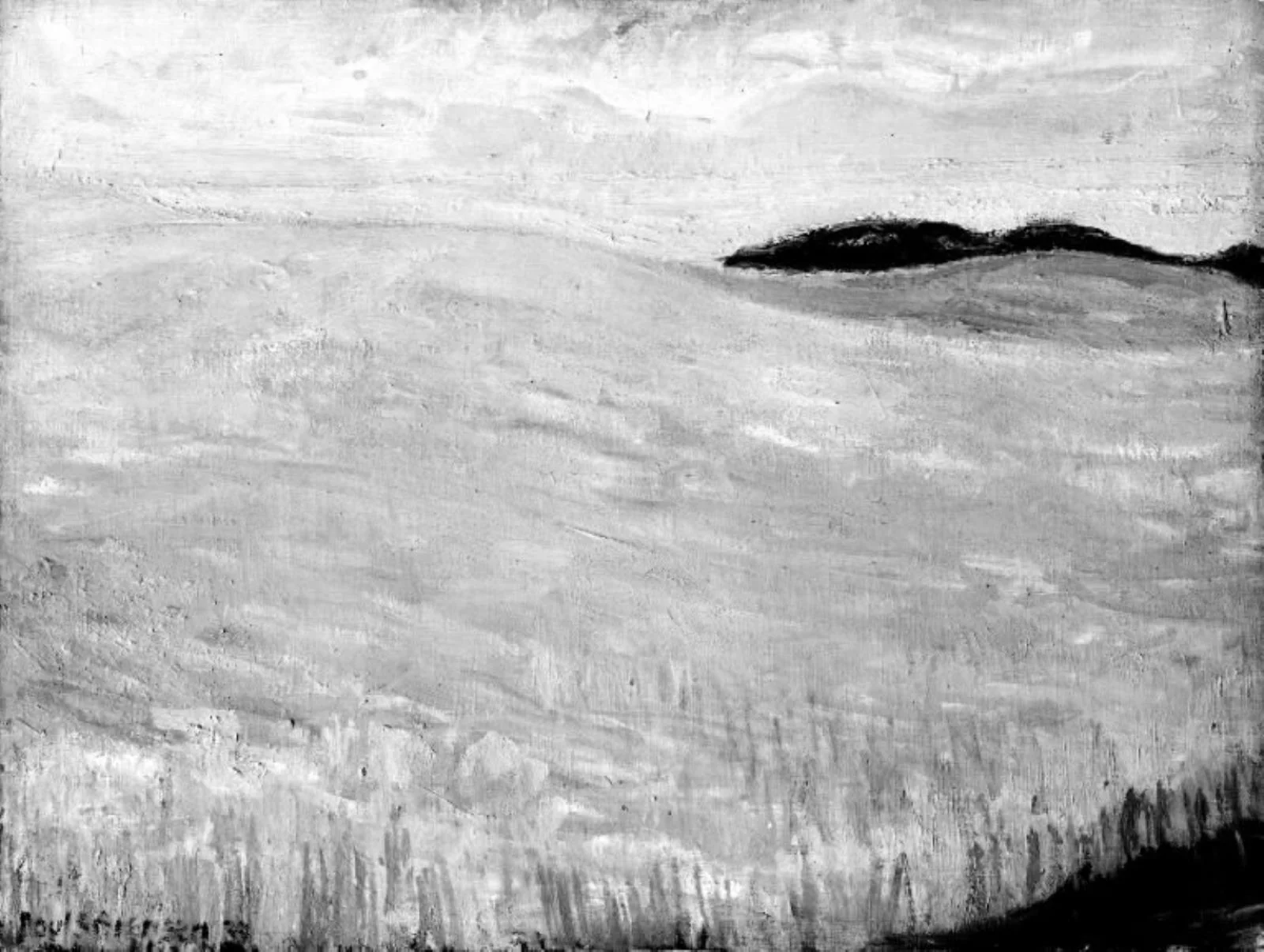 An Early Grain Field
