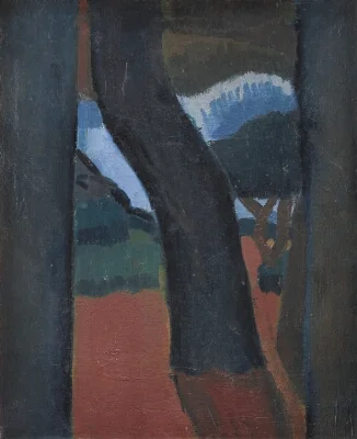 Trees near Martigues