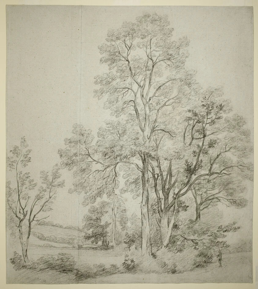 A Stand of Elm Trees (recto); A Study of East Bergholt with the Church (verso)