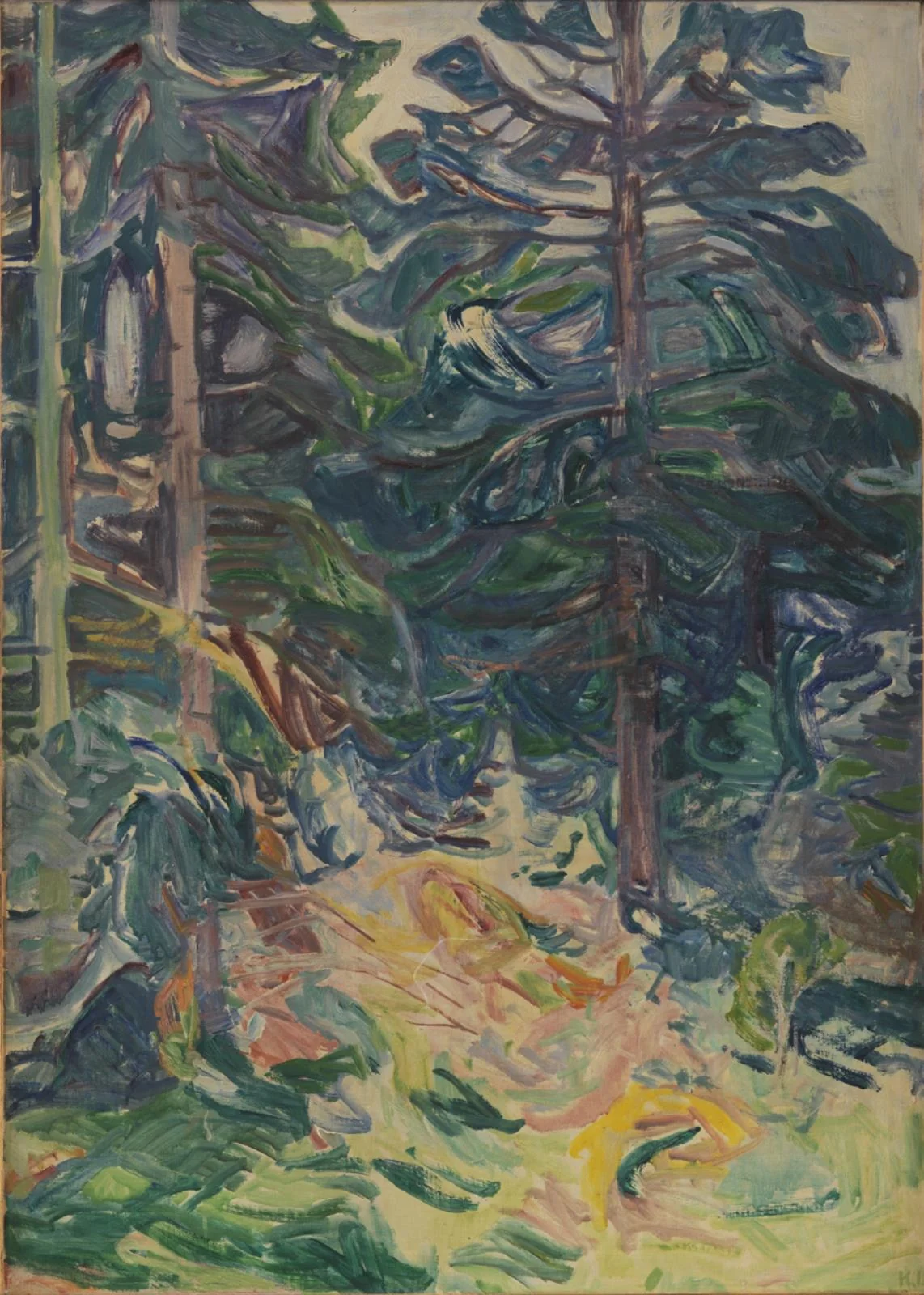 Sunflecks in Sydskoven, Svaneke