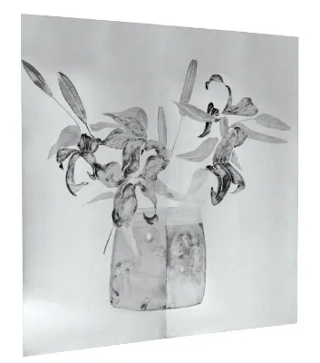 Henbane in Vase by Svend Hammershøj