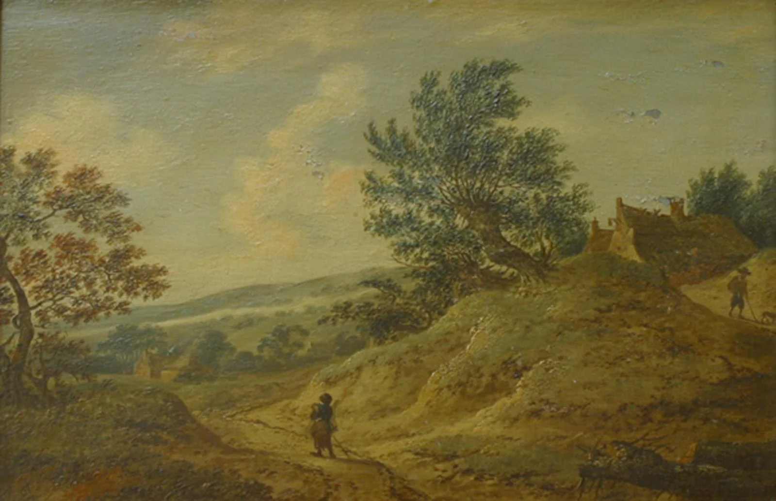 Hilly Landscape