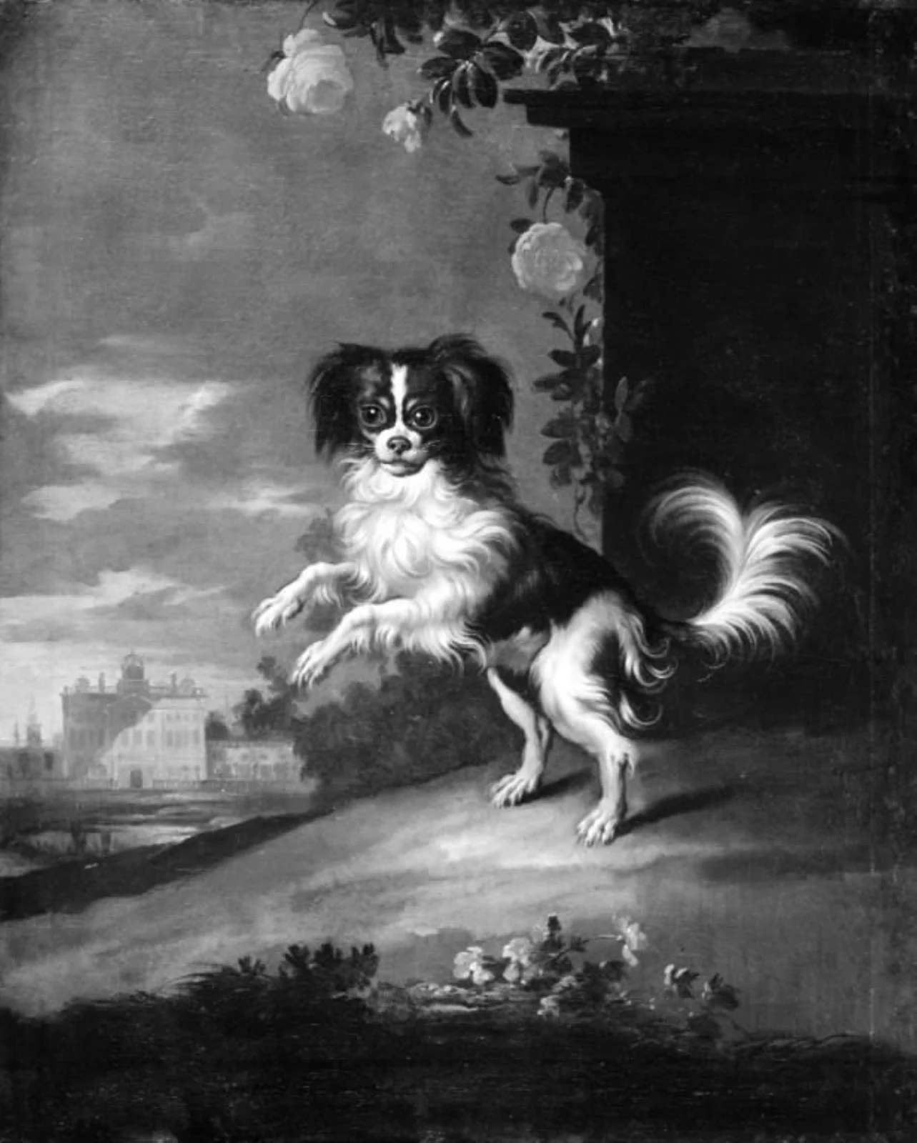 En springende hund