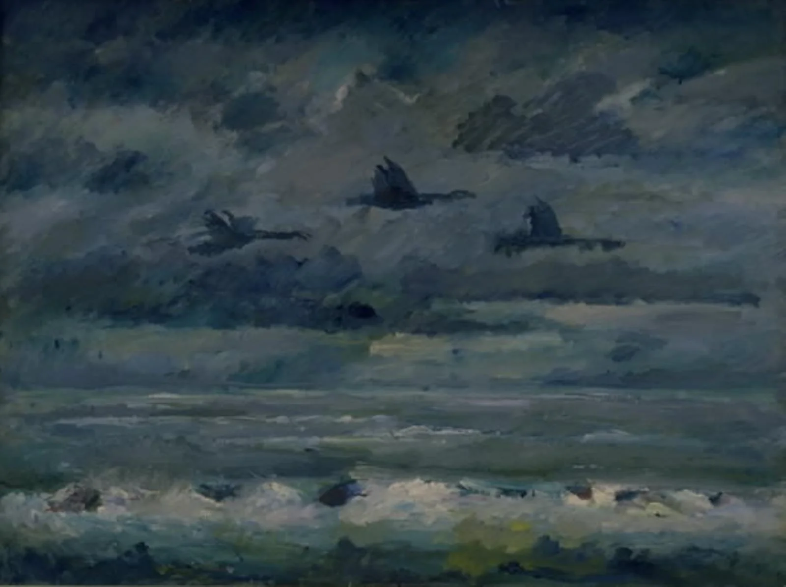 Flying Cormorants