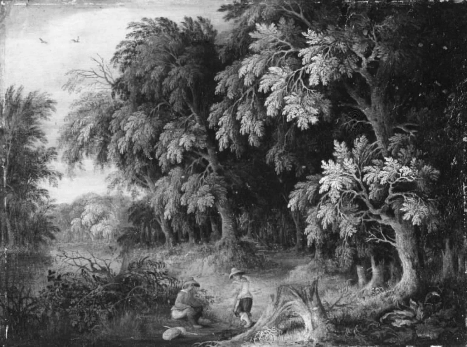 Wooded Landscape